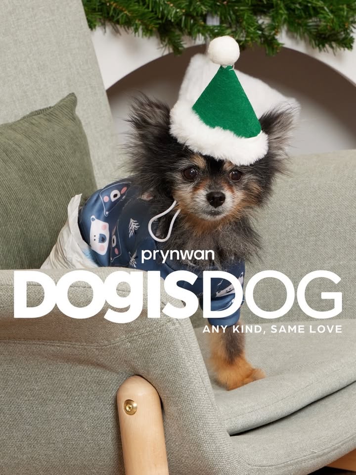 เก๋ - ชลลดา เมฆราตรี