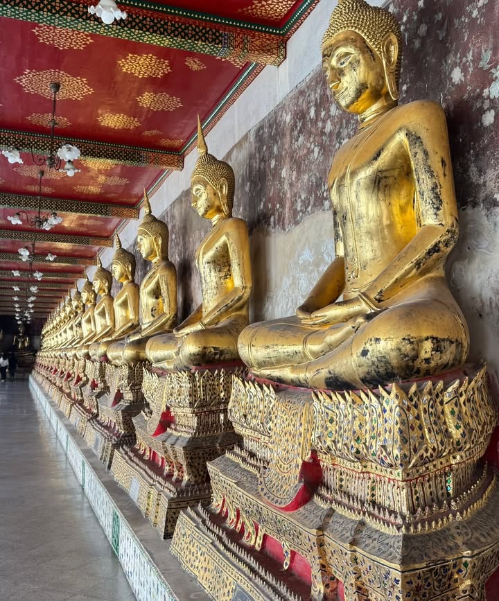 เก๋ - ชลลดา เมฆราตรี