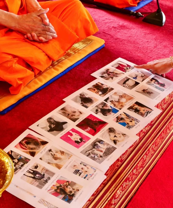 เก๋ - ชลลดา เมฆราตรี