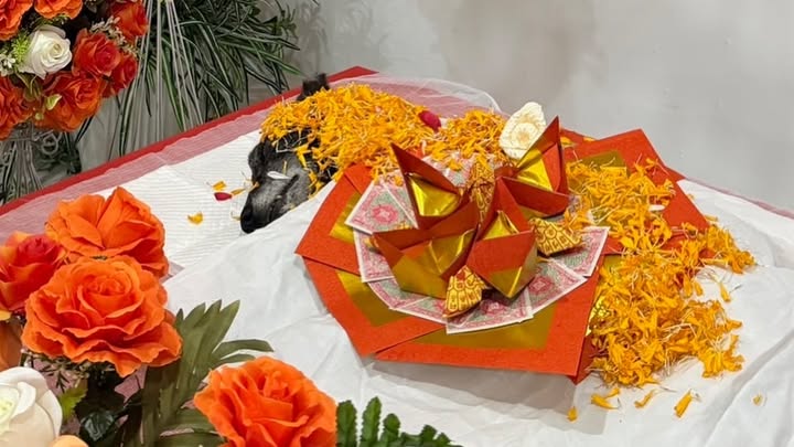 เก๋ - ชลลดา เมฆราตรี