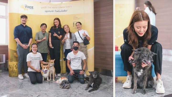 เก๋ - ชลลดา เมฆราตรี