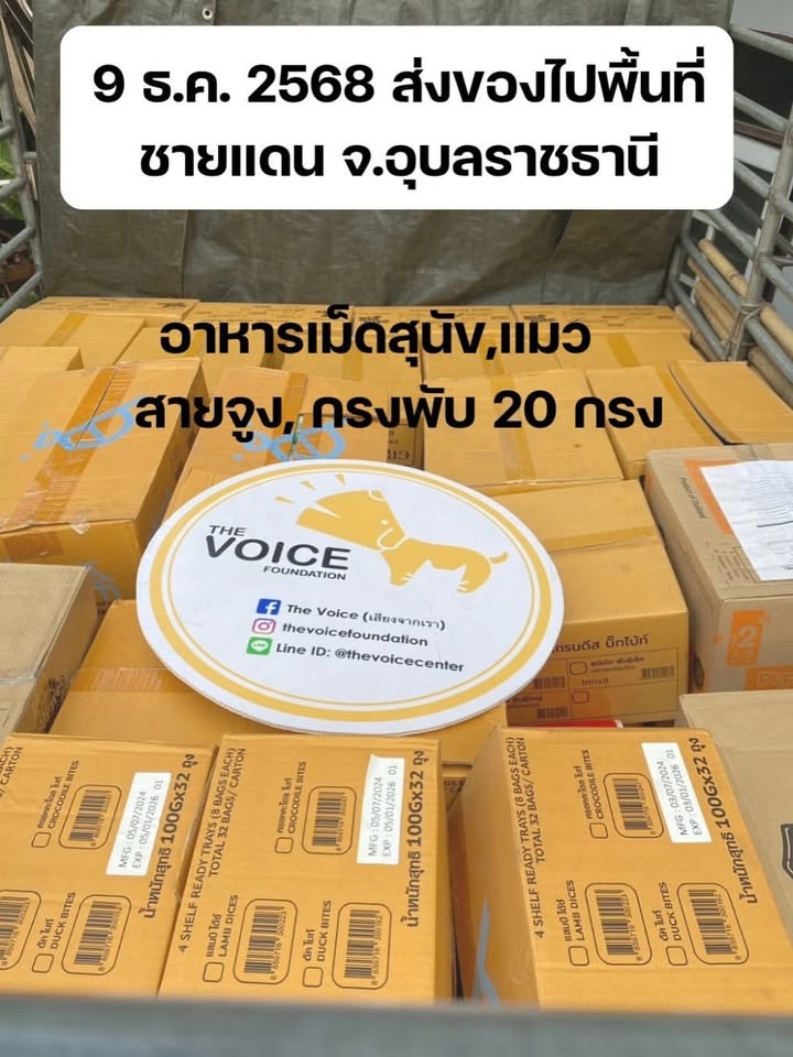 เก๋ - ชลลดา เมฆราตรี