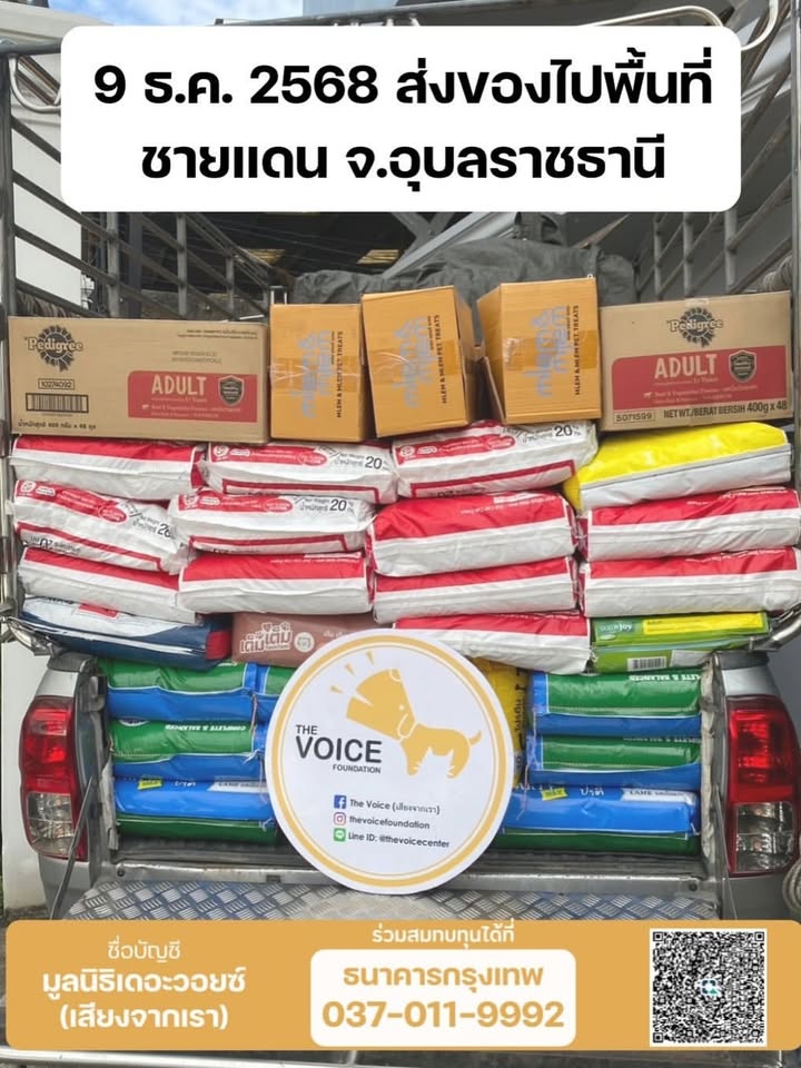 เก๋ - ชลลดา เมฆราตรี