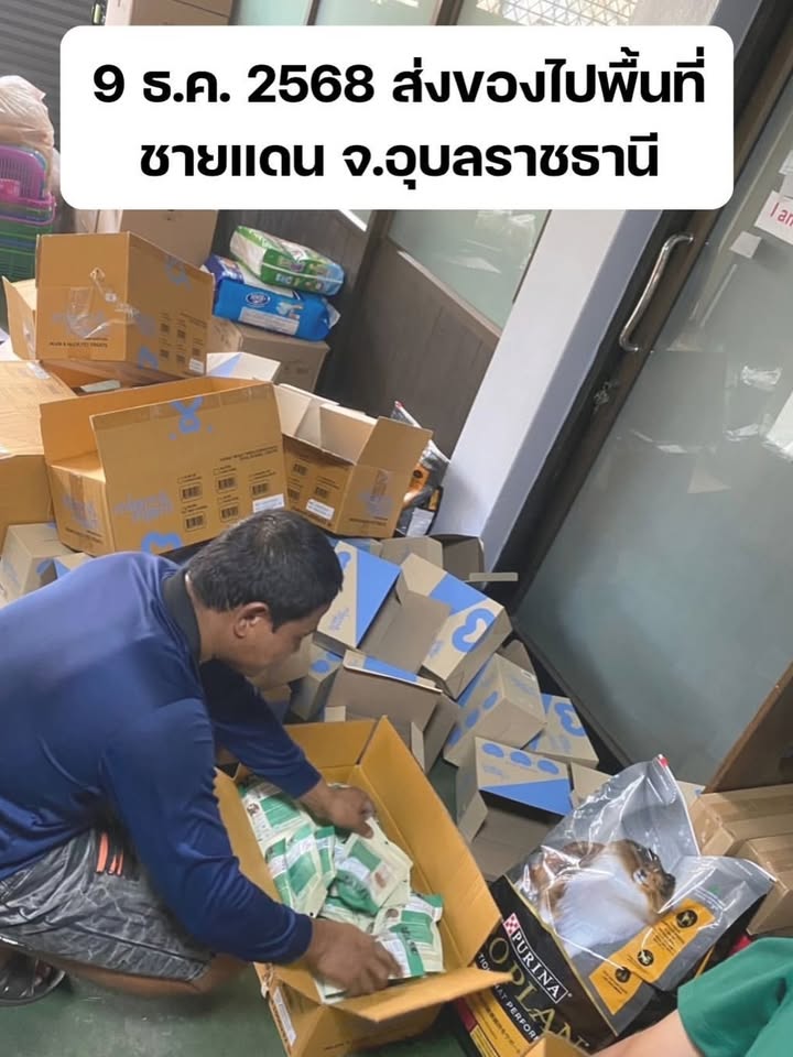 เก๋ - ชลลดา เมฆราตรี