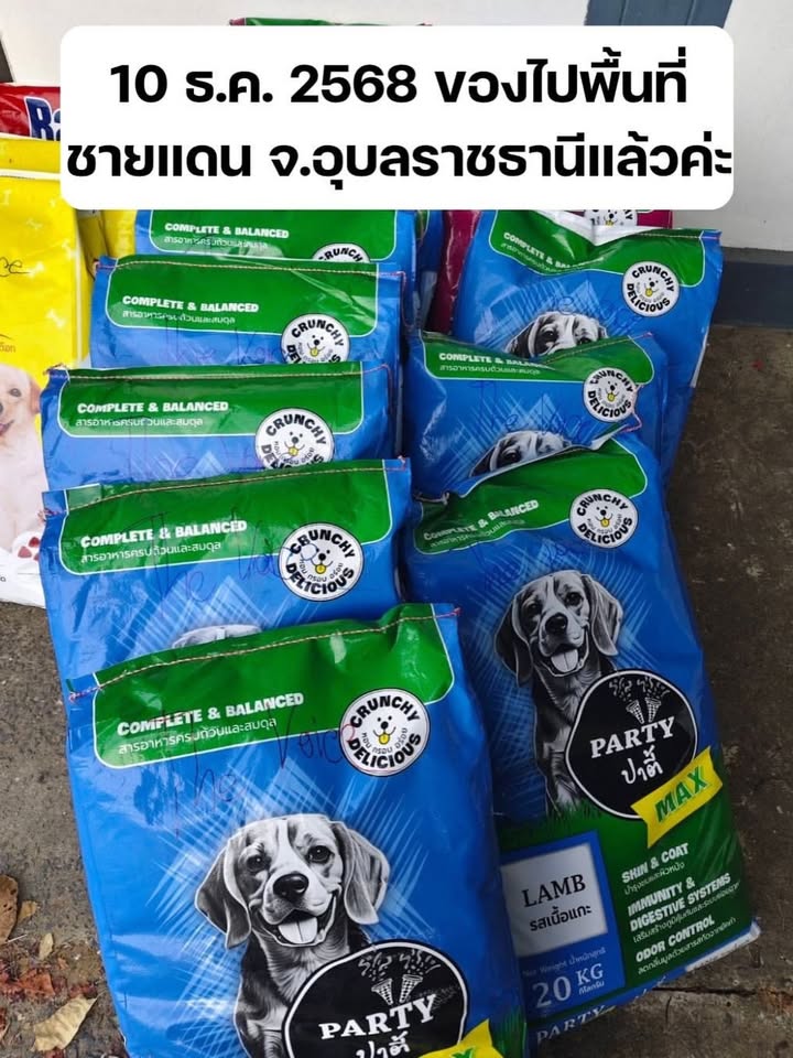 เก๋ - ชลลดา เมฆราตรี