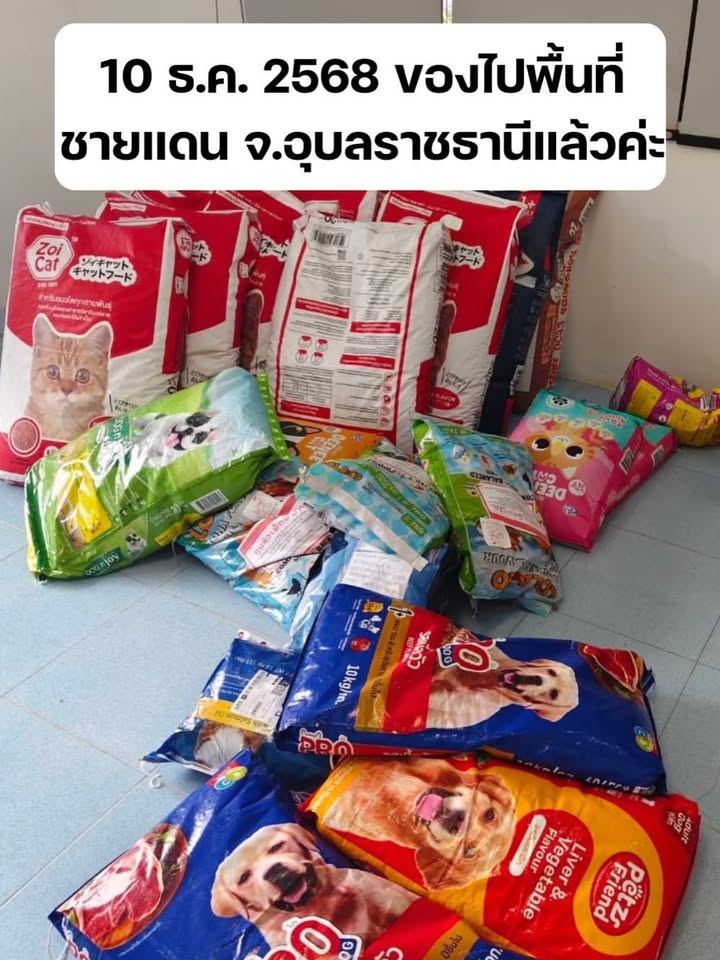 เก๋ - ชลลดา เมฆราตรี