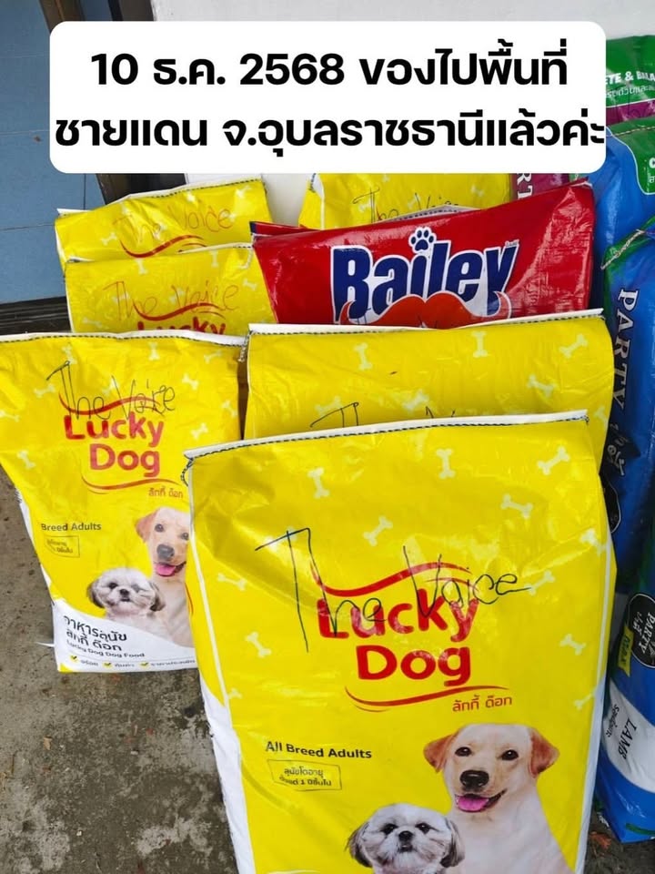 เก๋ - ชลลดา เมฆราตรี