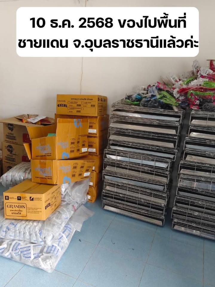 เก๋ - ชลลดา เมฆราตรี