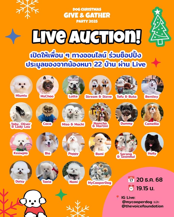 เก๋ - ชลลดา เมฆราตรี