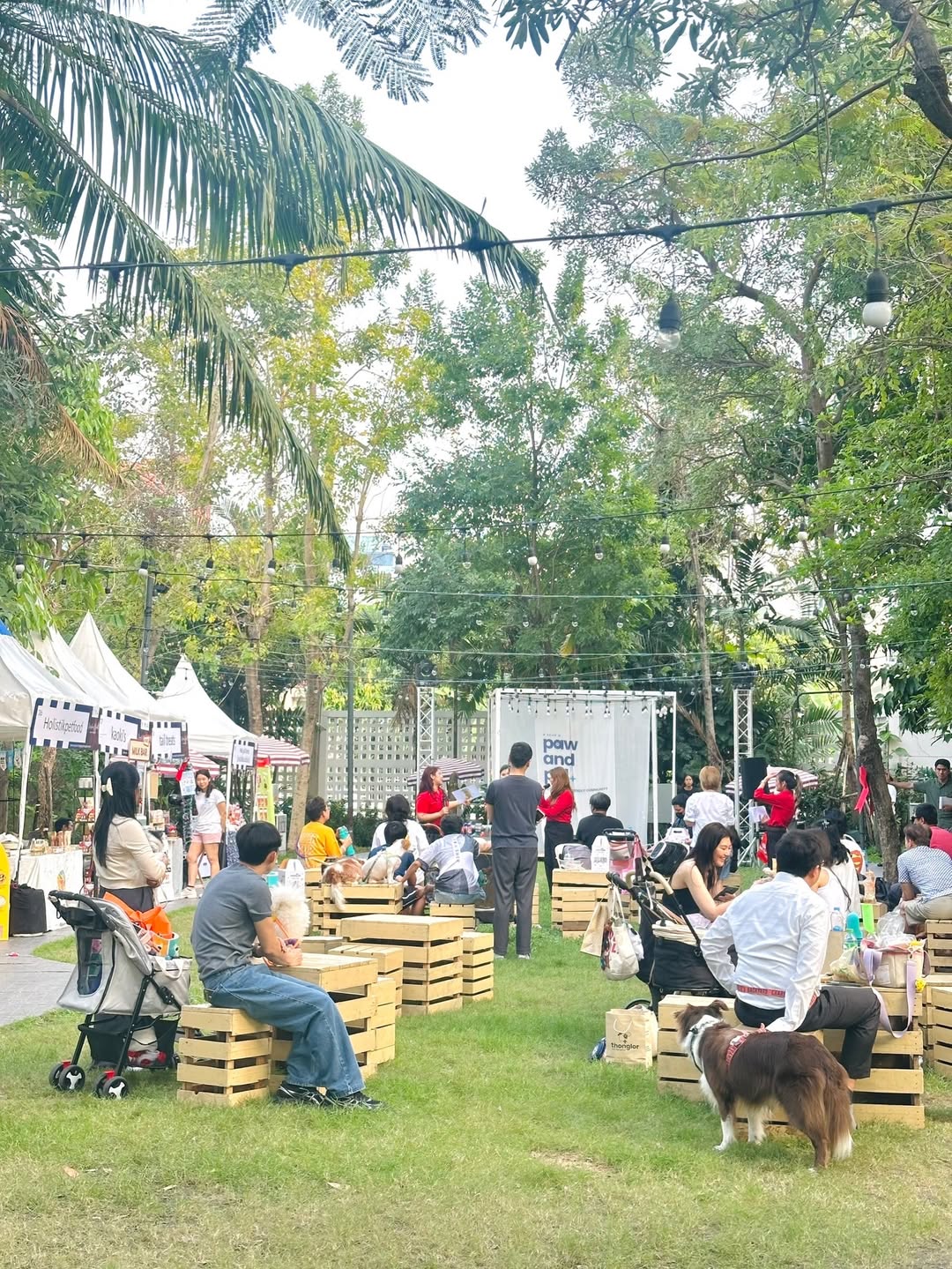 เก๋ - ชลลดา เมฆราตรี