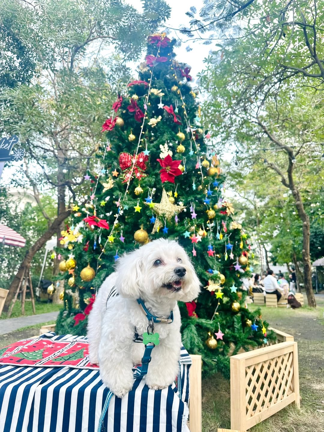 เก๋ - ชลลดา เมฆราตรี