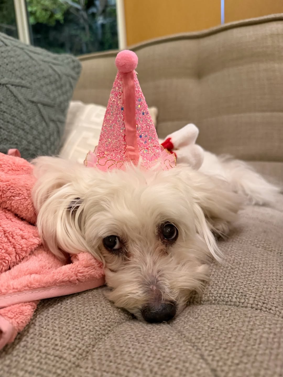 เก๋ - ชลลดา เมฆราตรี