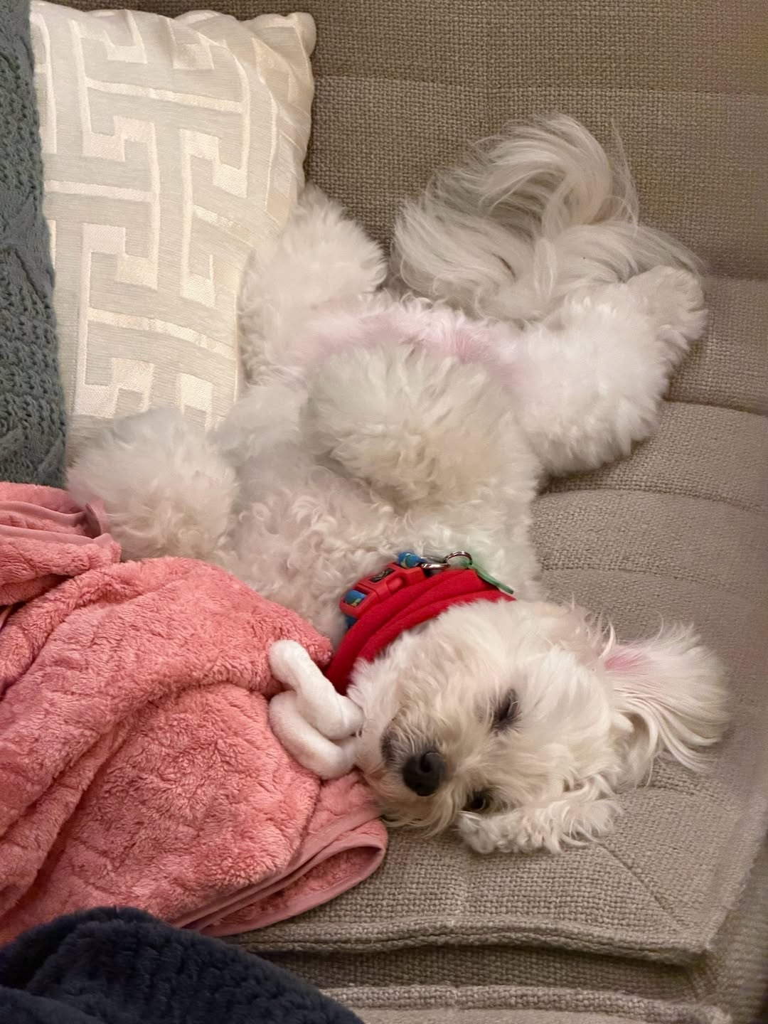 เก๋ - ชลลดา เมฆราตรี