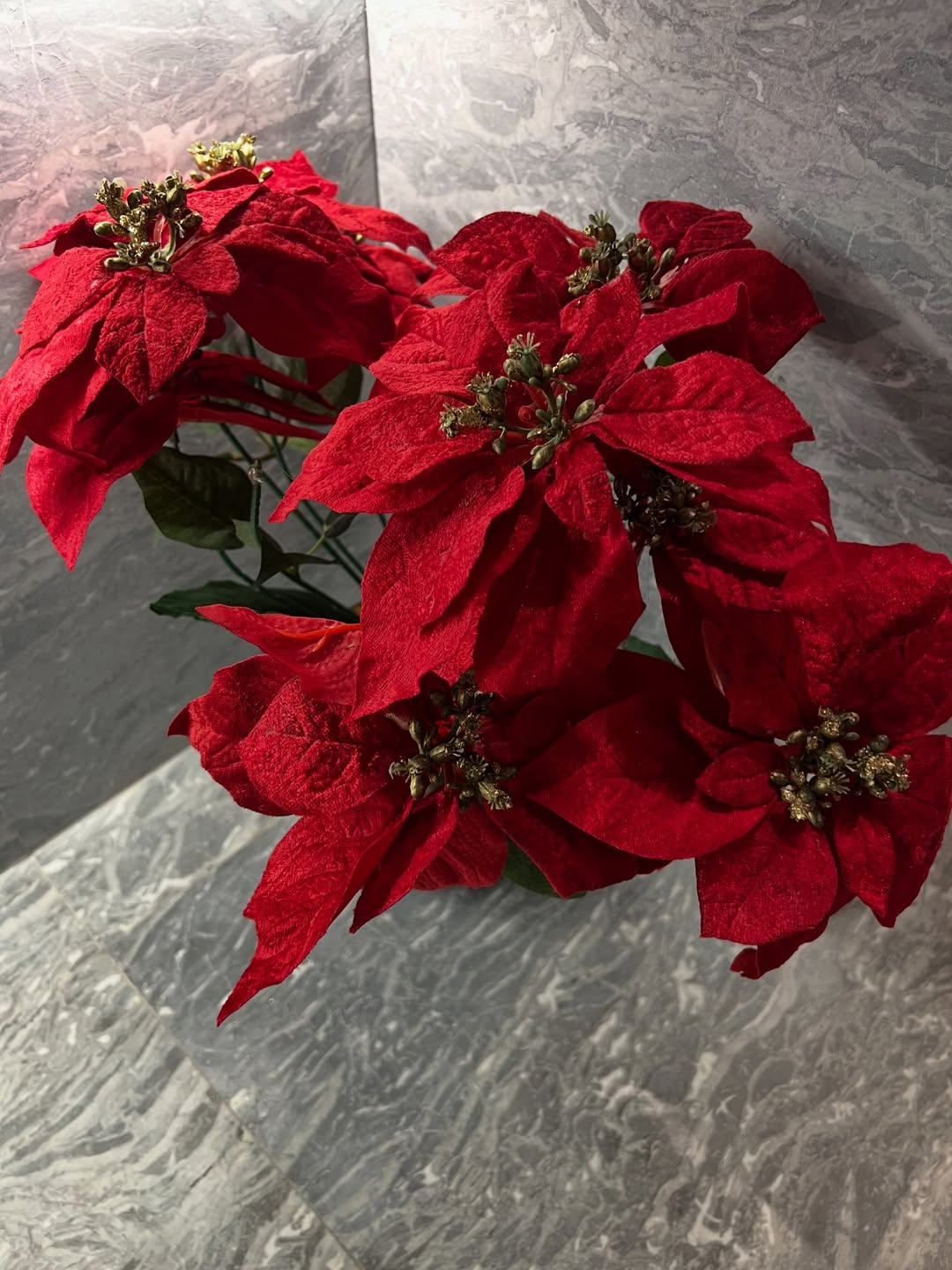 เก๋ - ชลลดา เมฆราตรี