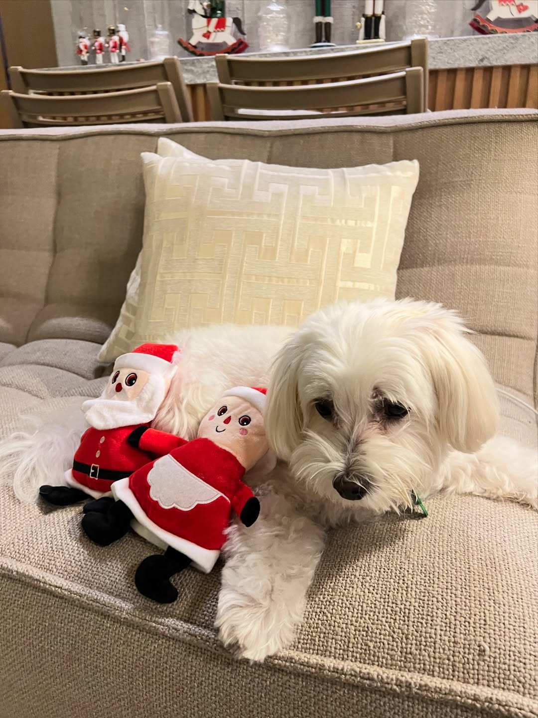 เก๋ - ชลลดา เมฆราตรี