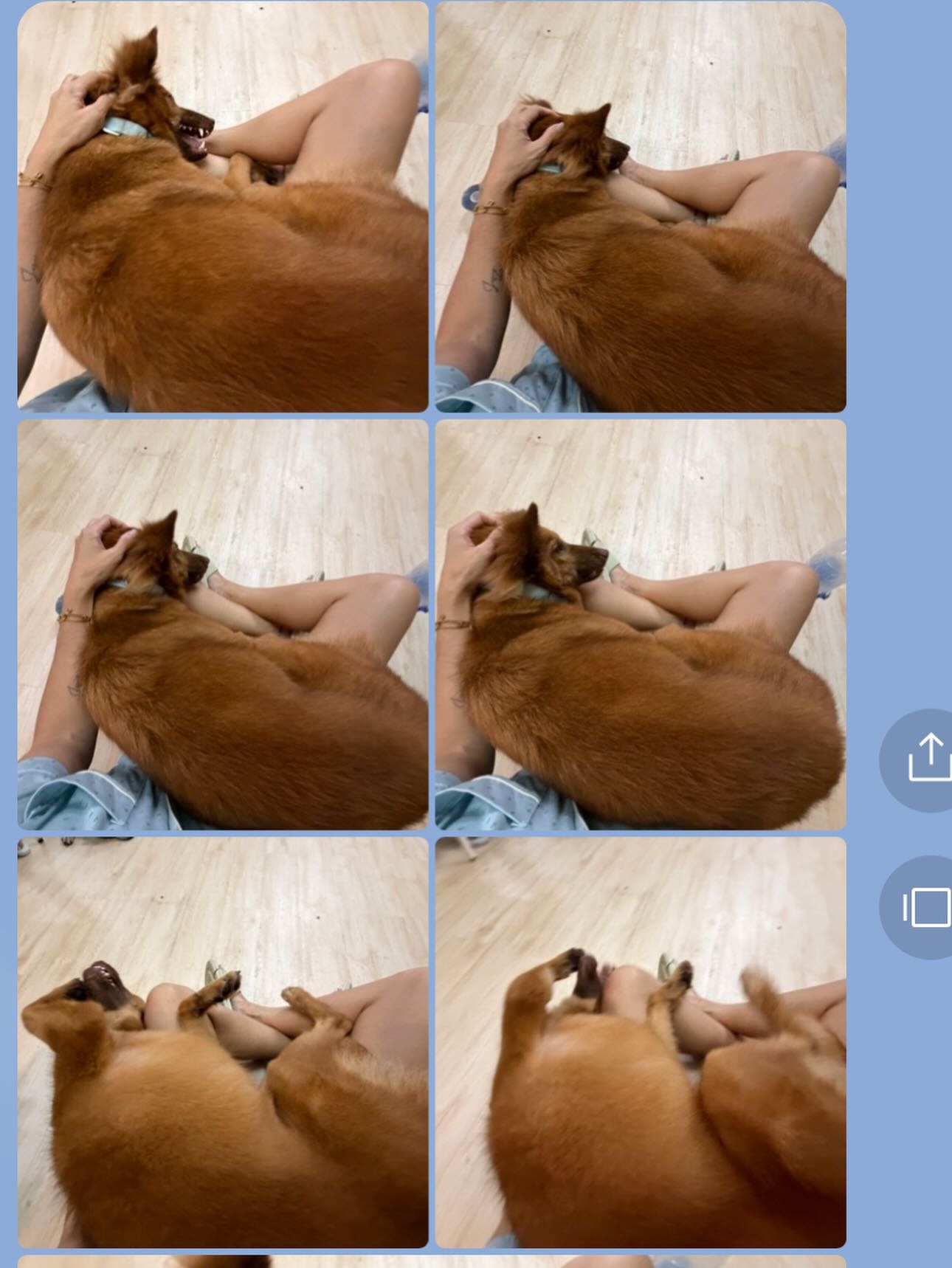 เก๋ - ชลลดา เมฆราตรี