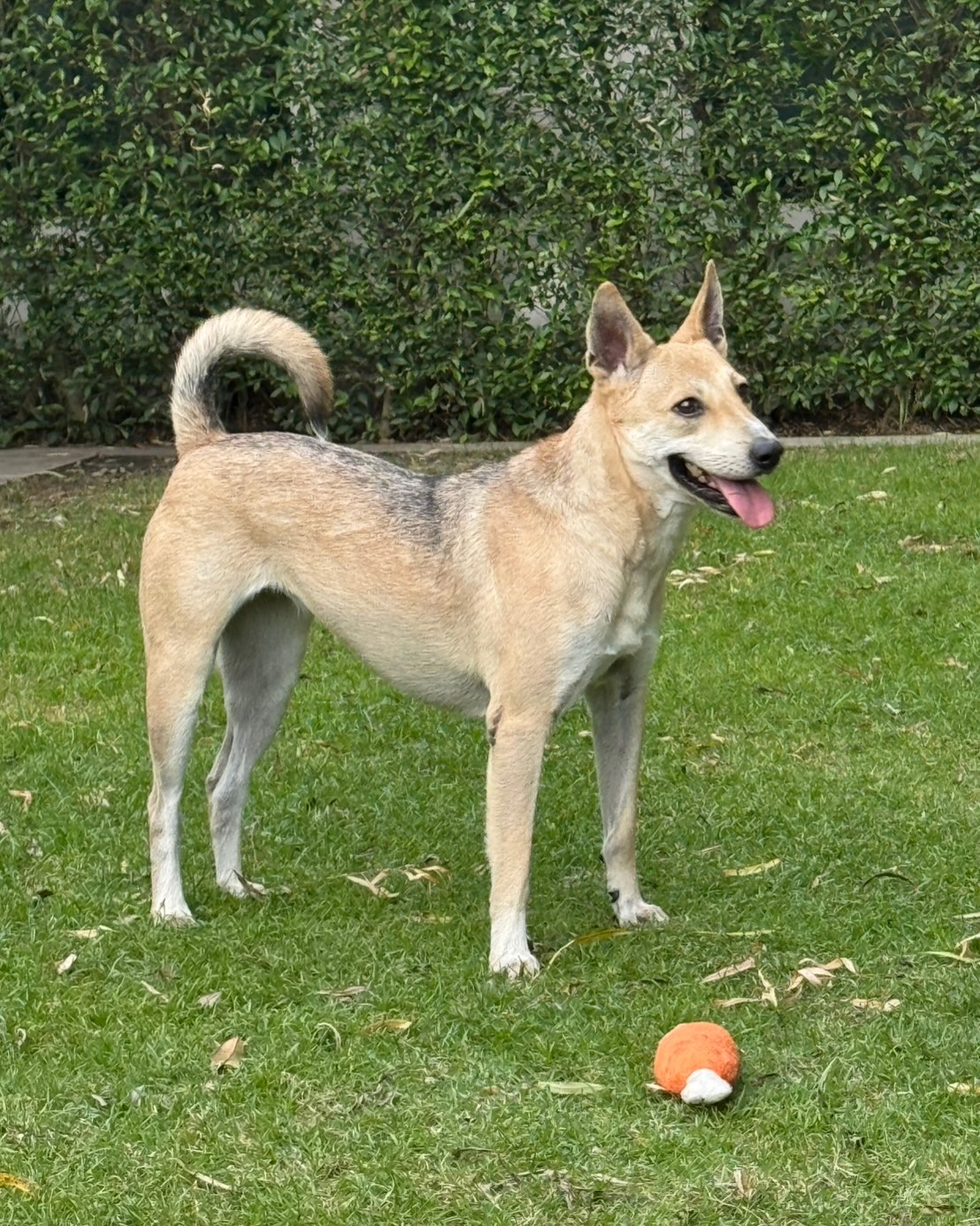 เก๋ - ชลลดา เมฆราตรี