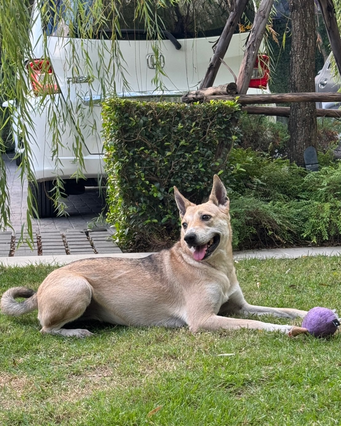 เก๋ - ชลลดา เมฆราตรี