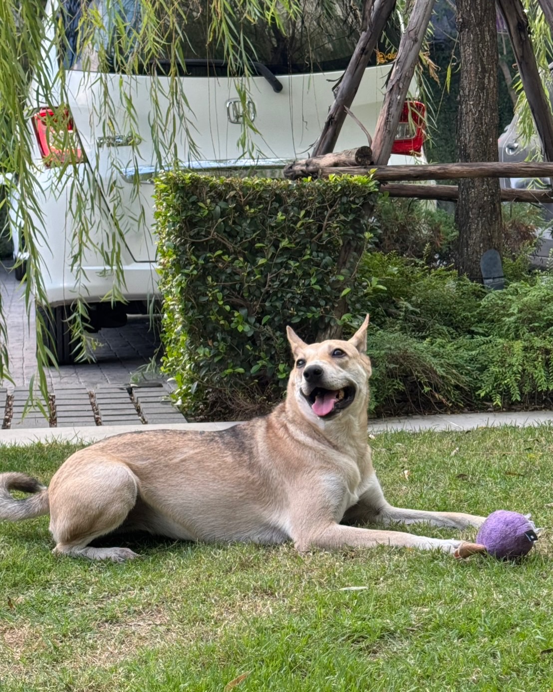 เก๋ - ชลลดา เมฆราตรี