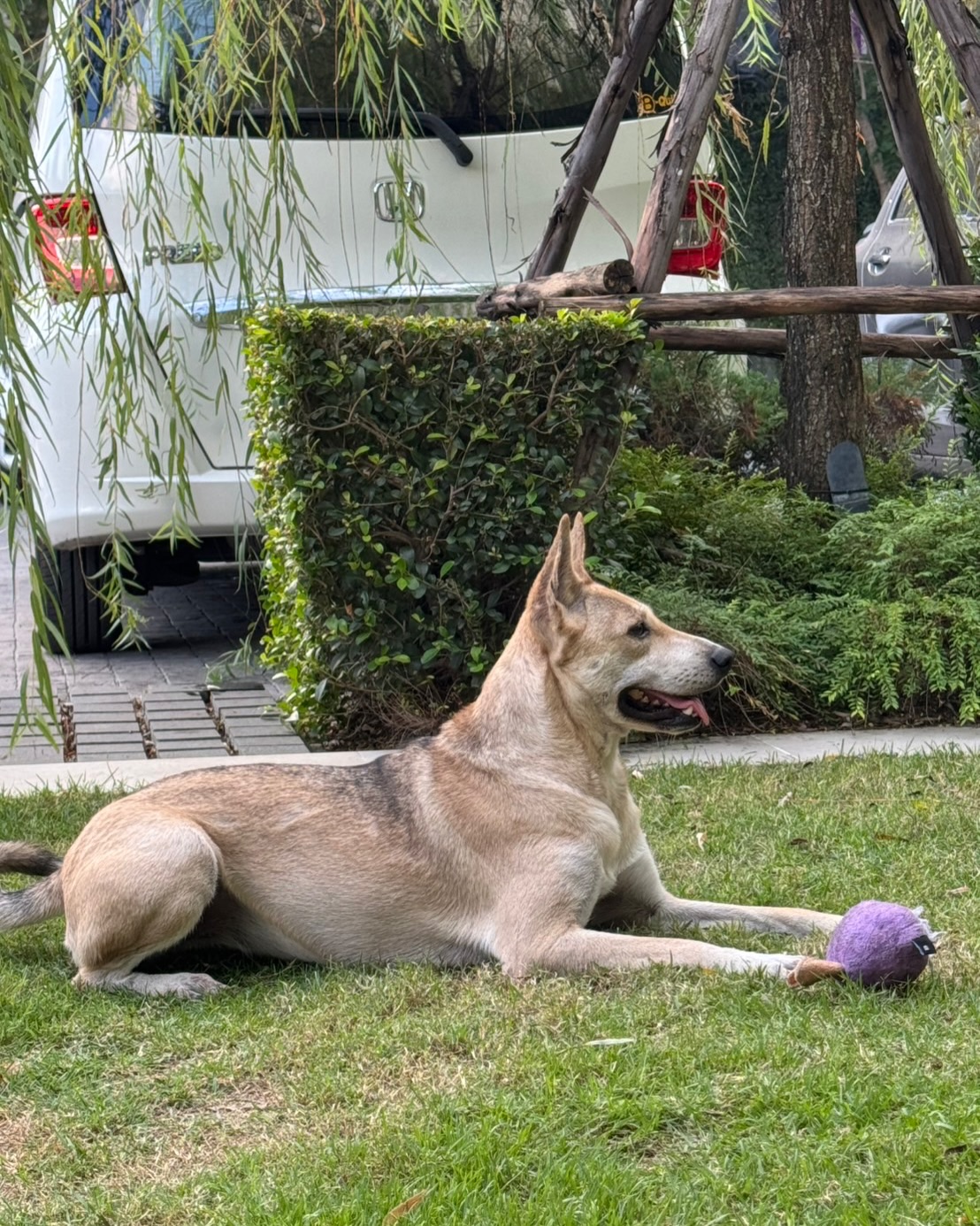 เก๋ - ชลลดา เมฆราตรี