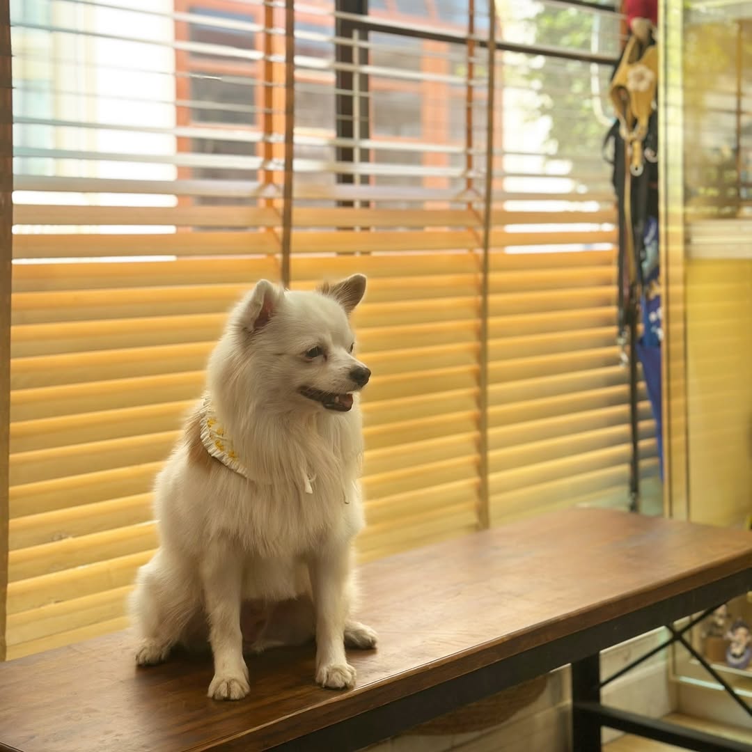 เก๋ - ชลลดา เมฆราตรี