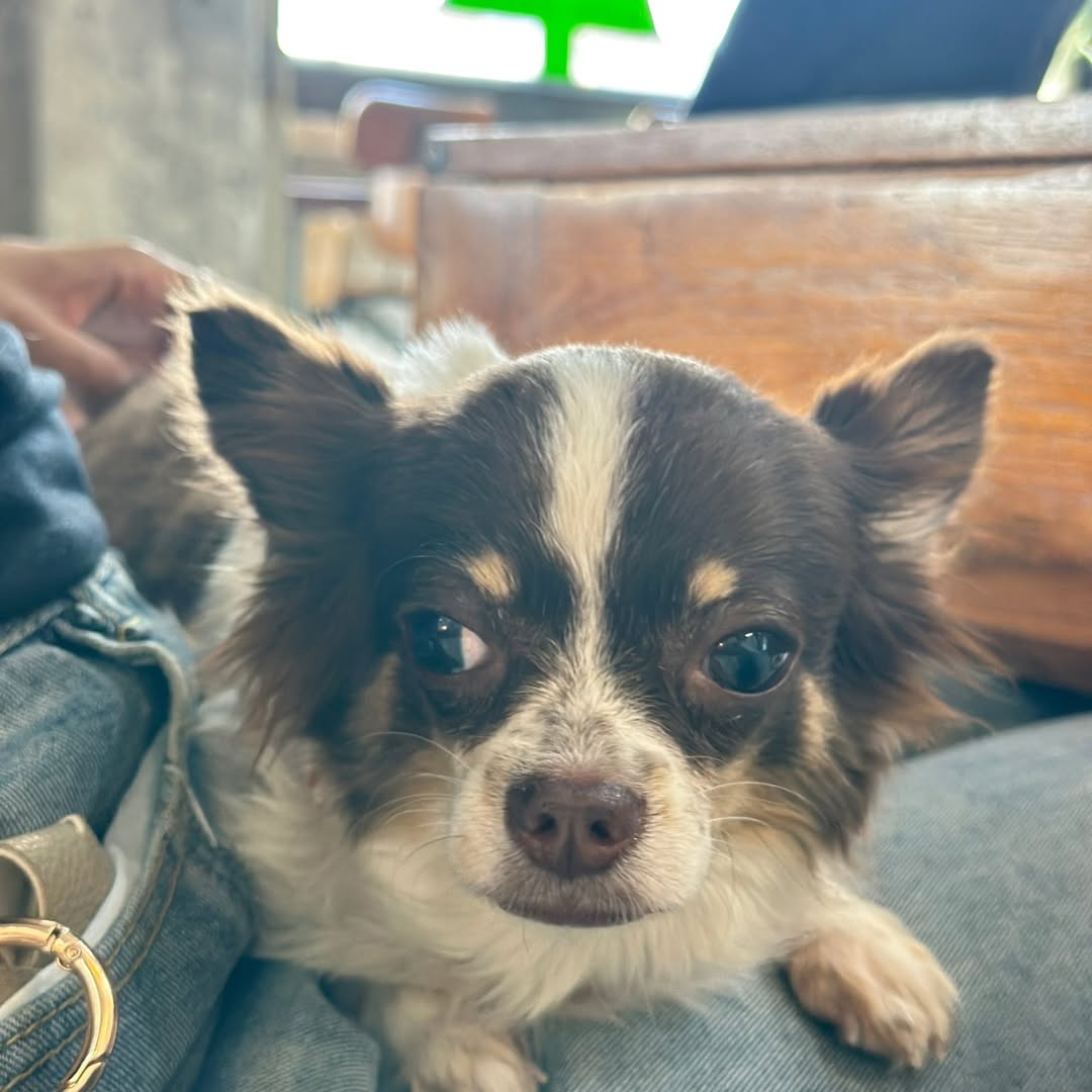 เก๋ - ชลลดา เมฆราตรี