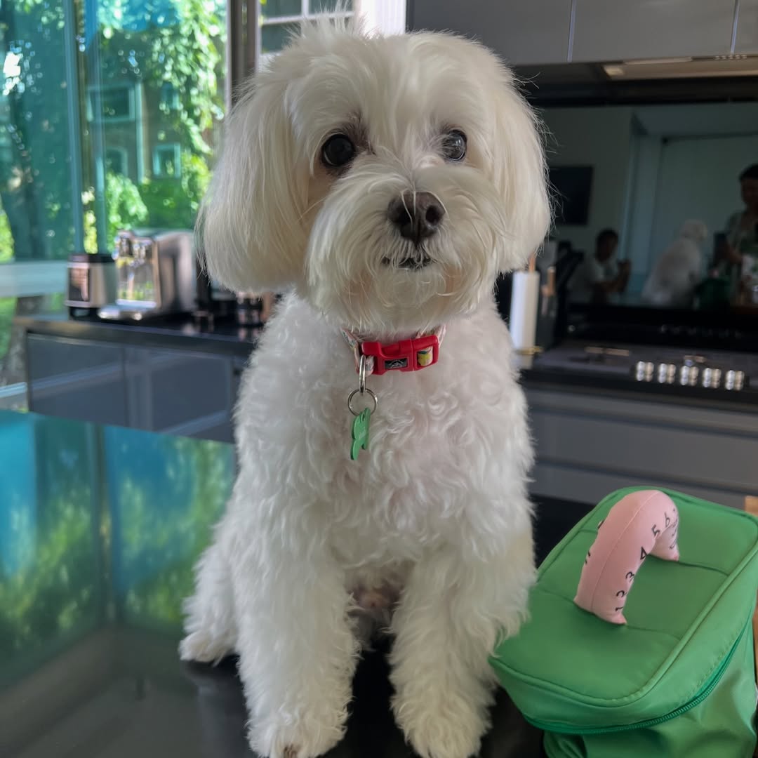 เก๋ - ชลลดา เมฆราตรี