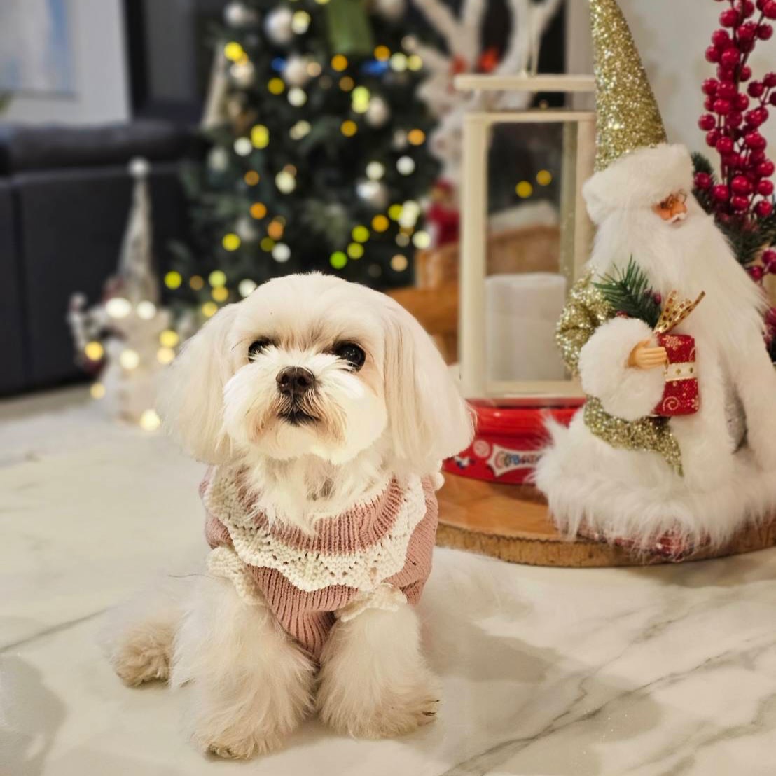 เก๋ - ชลลดา เมฆราตรี