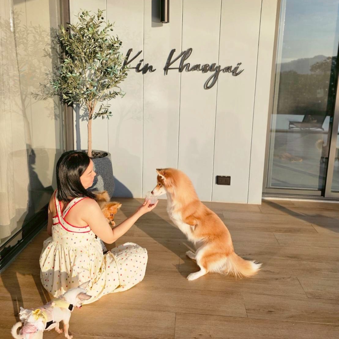 เก๋ - ชลลดา เมฆราตรี