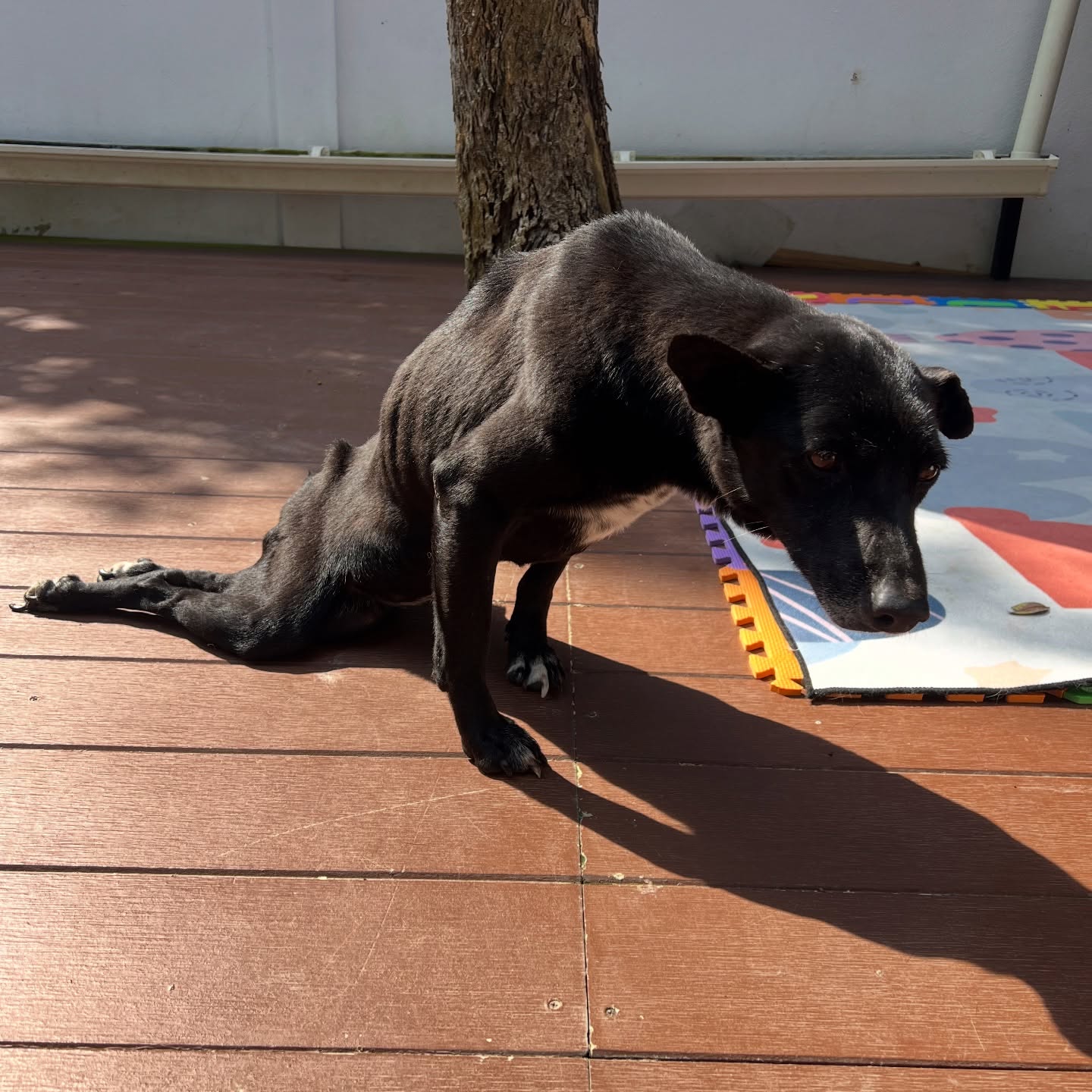 เก๋ - ชลลดา เมฆราตรี