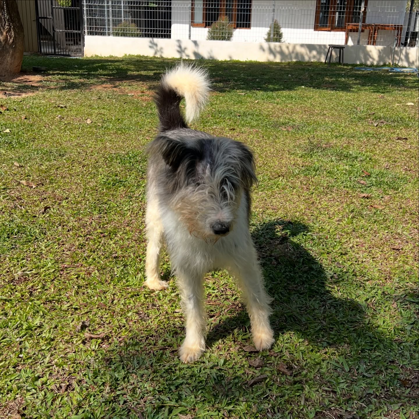 เก๋ - ชลลดา เมฆราตรี