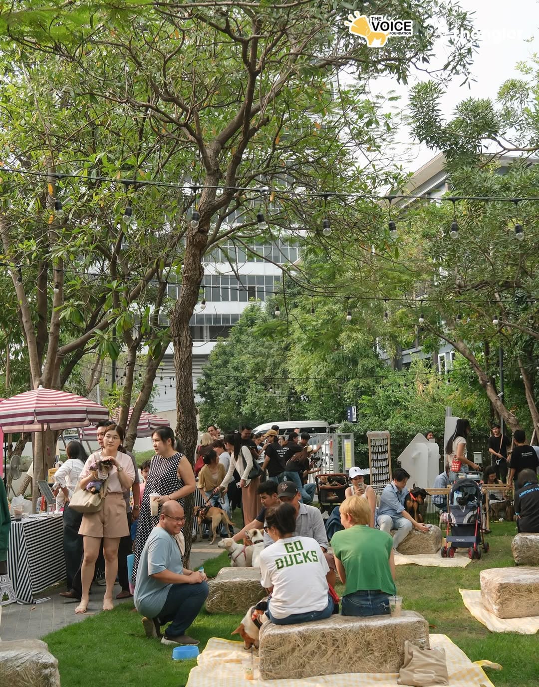 เก๋ - ชลลดา เมฆราตรี