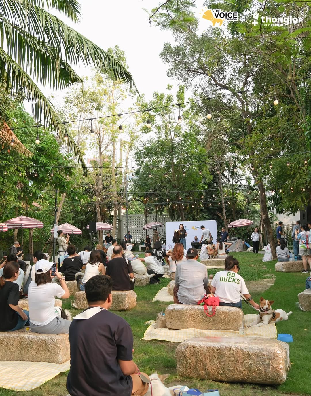 เก๋ - ชลลดา เมฆราตรี