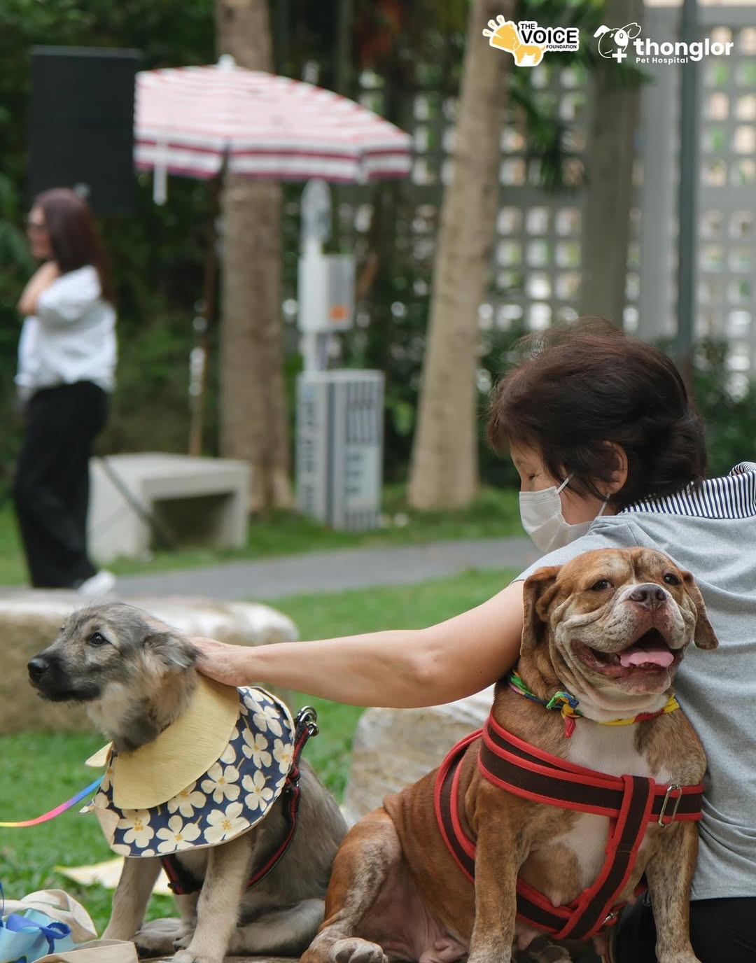 เก๋ - ชลลดา เมฆราตรี