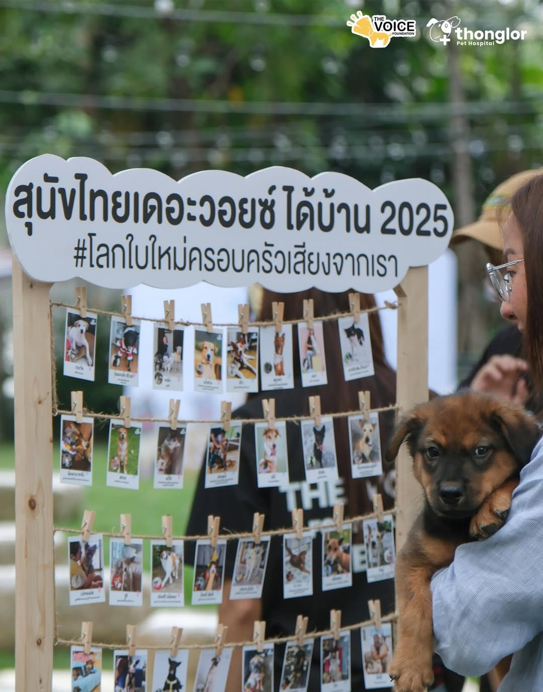 เก๋ - ชลลดา เมฆราตรี