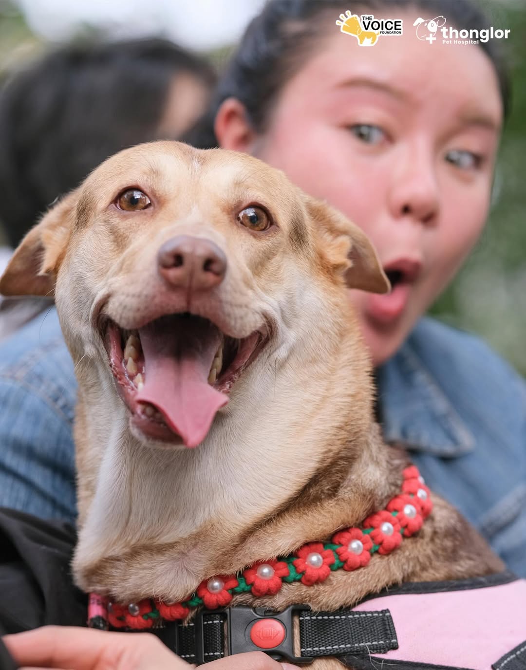 เก๋ - ชลลดา เมฆราตรี