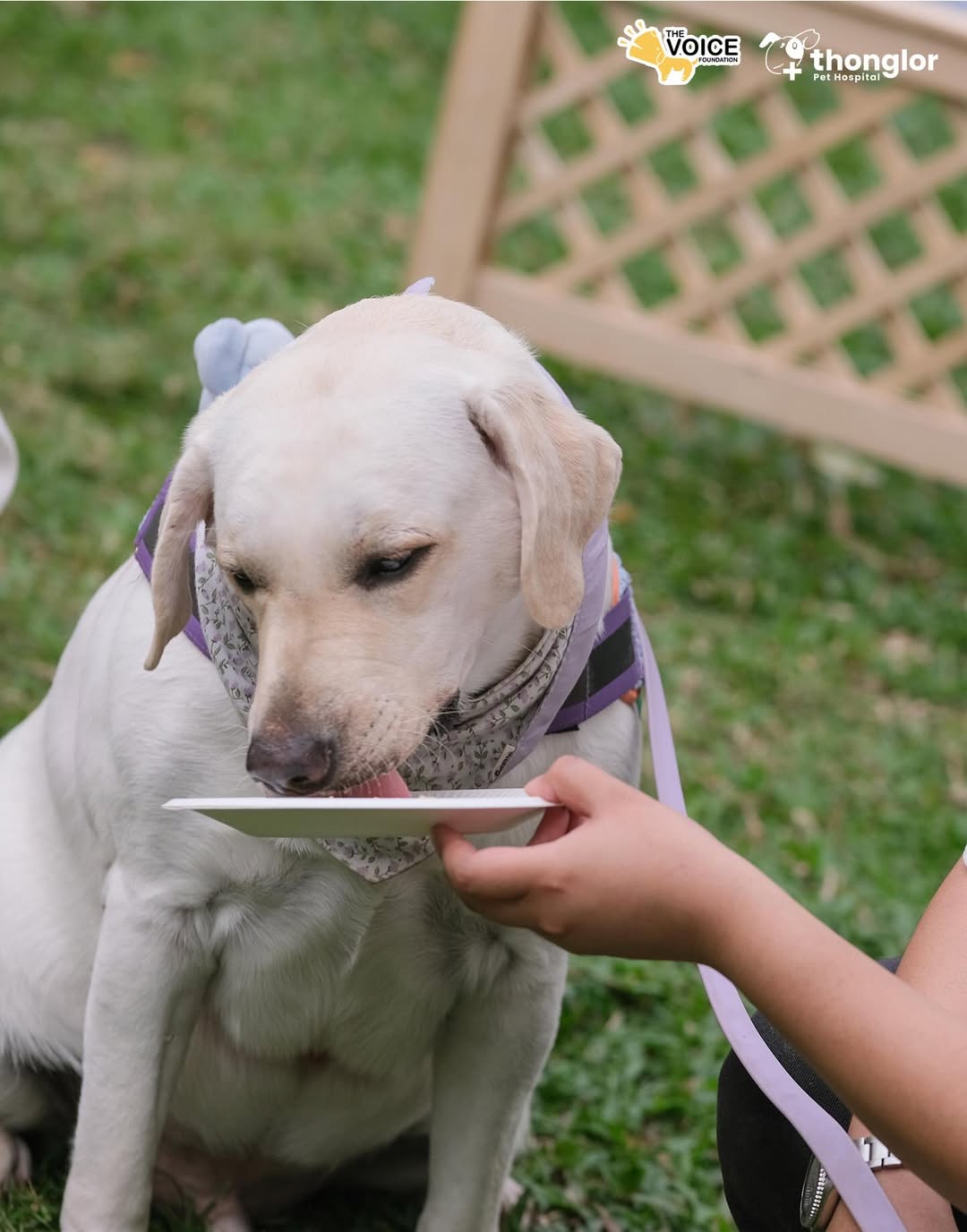 เก๋ - ชลลดา เมฆราตรี