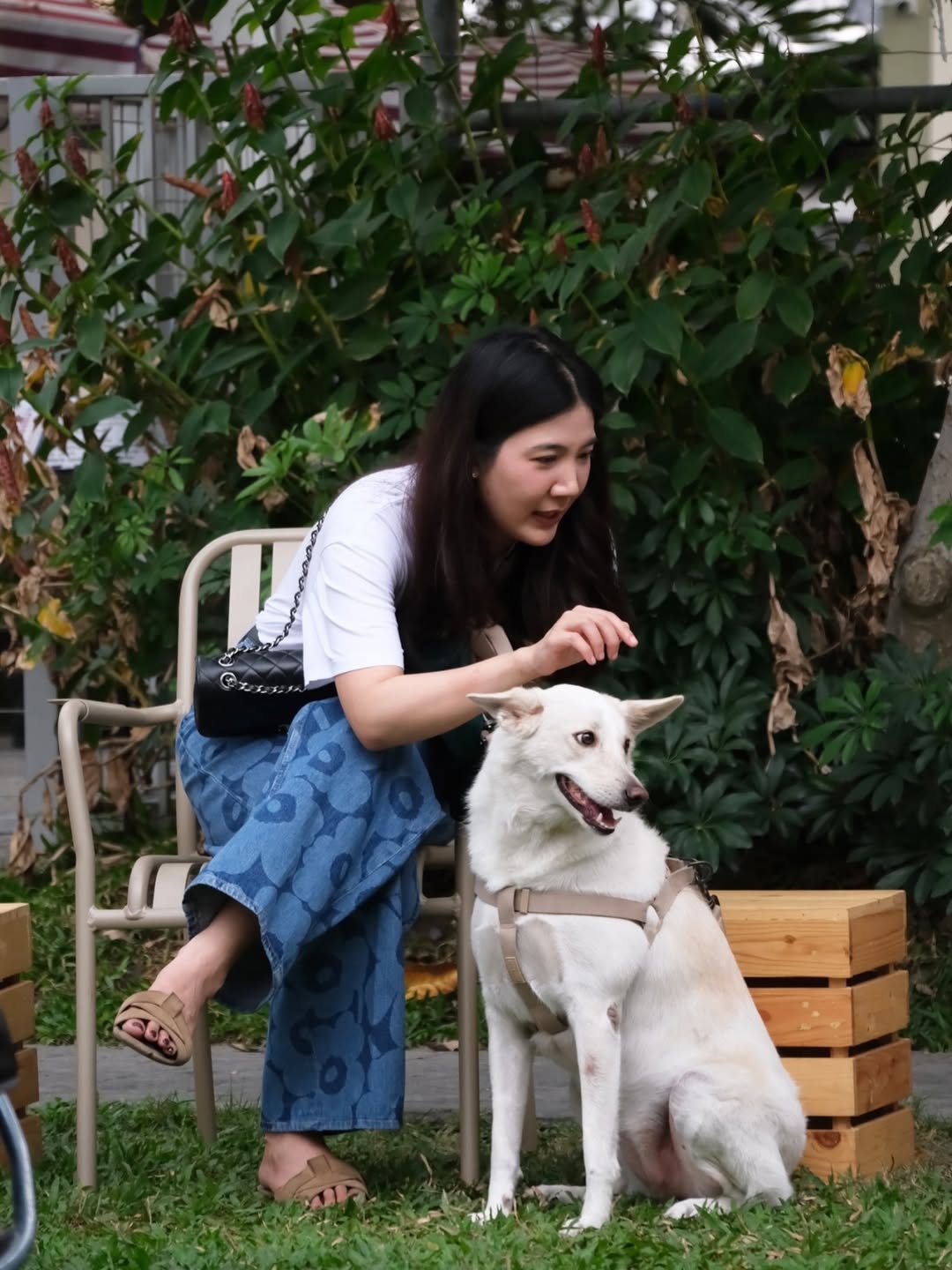 เก๋ - ชลลดา เมฆราตรี