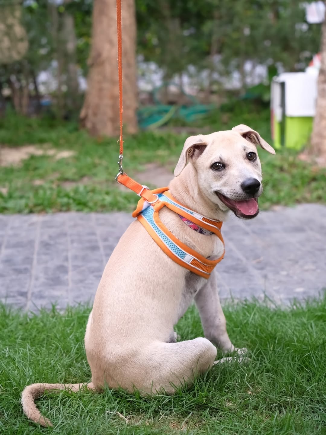 เก๋ - ชลลดา เมฆราตรี