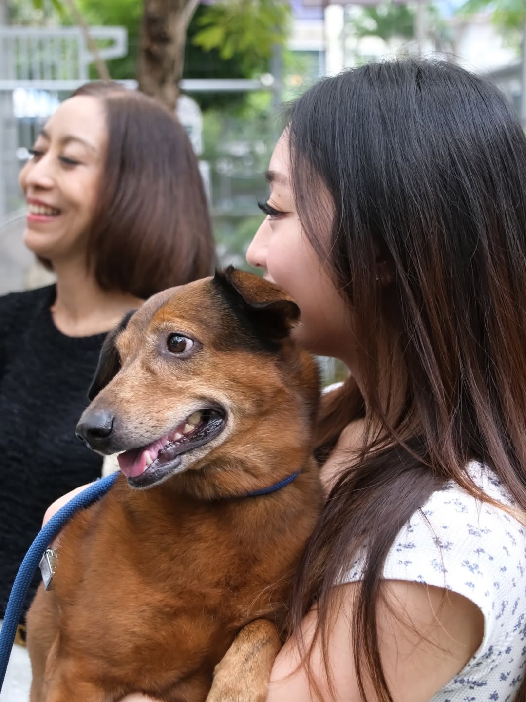 เก๋ - ชลลดา เมฆราตรี