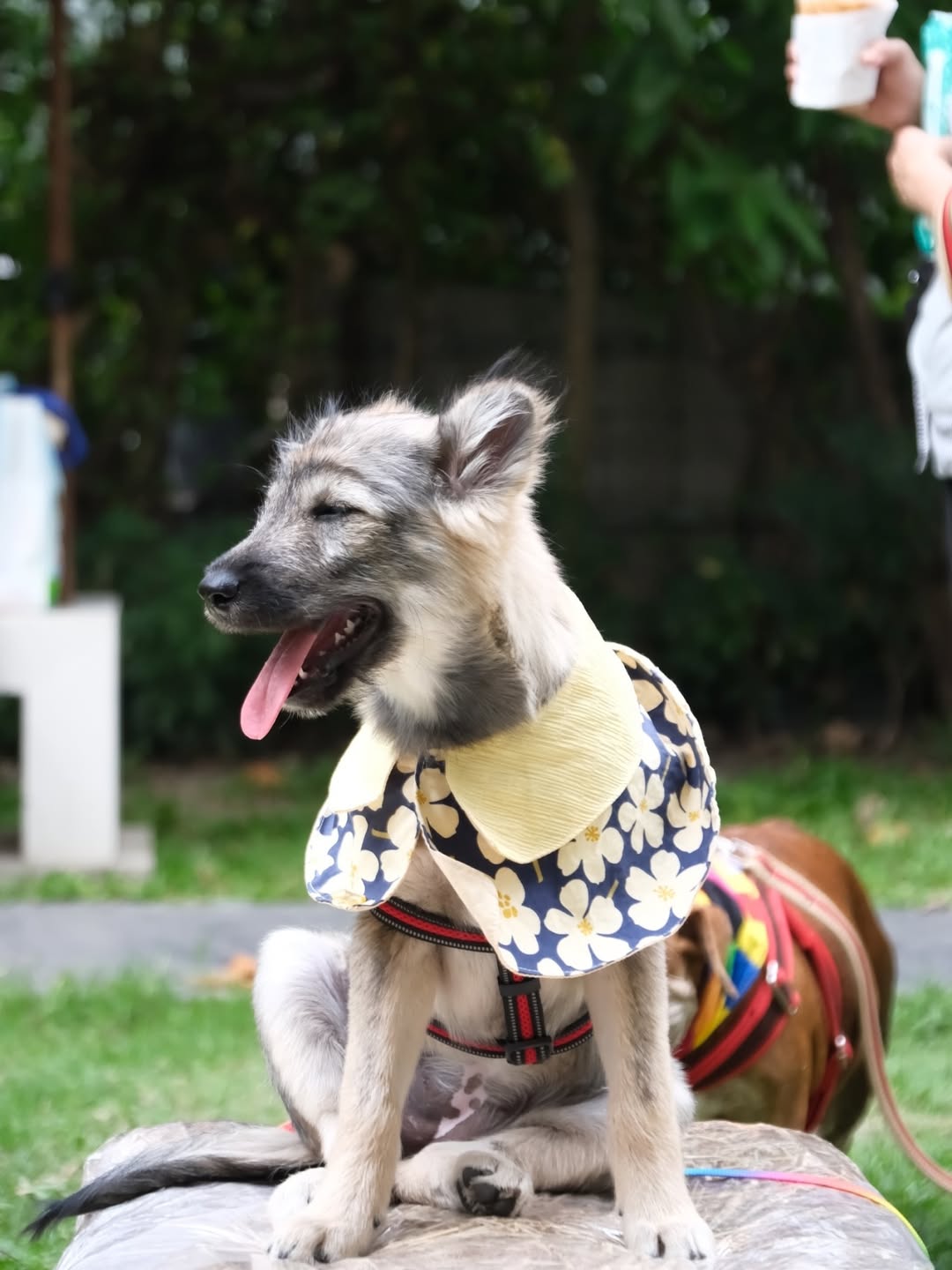 เก๋ - ชลลดา เมฆราตรี