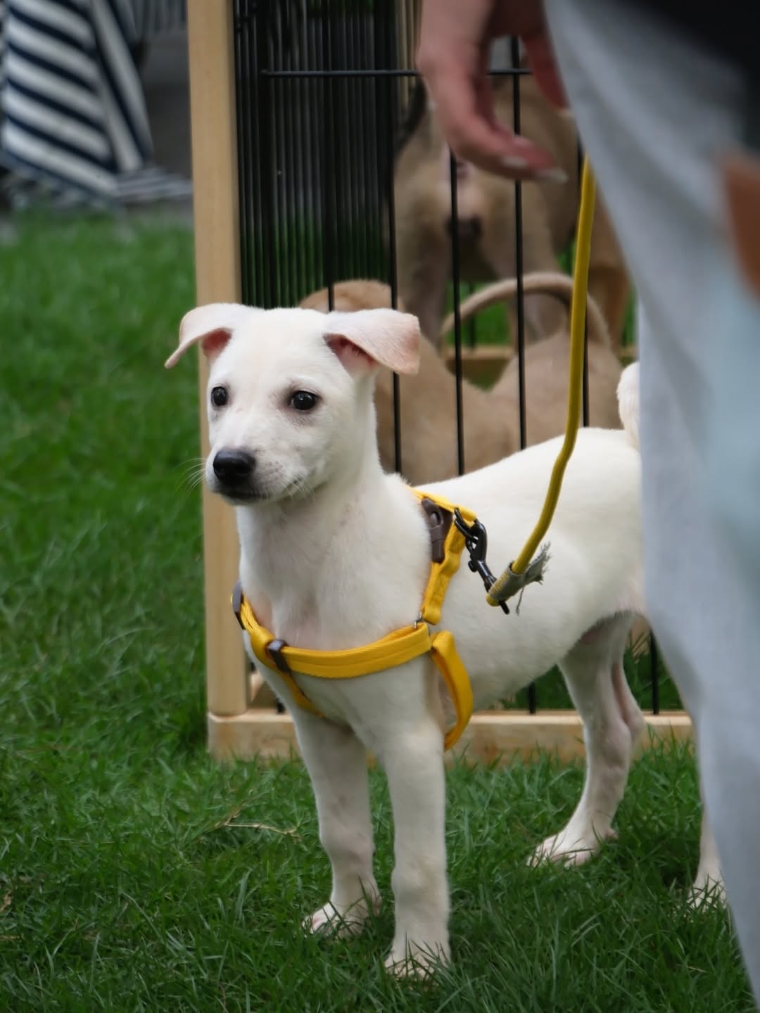 เก๋ - ชลลดา เมฆราตรี