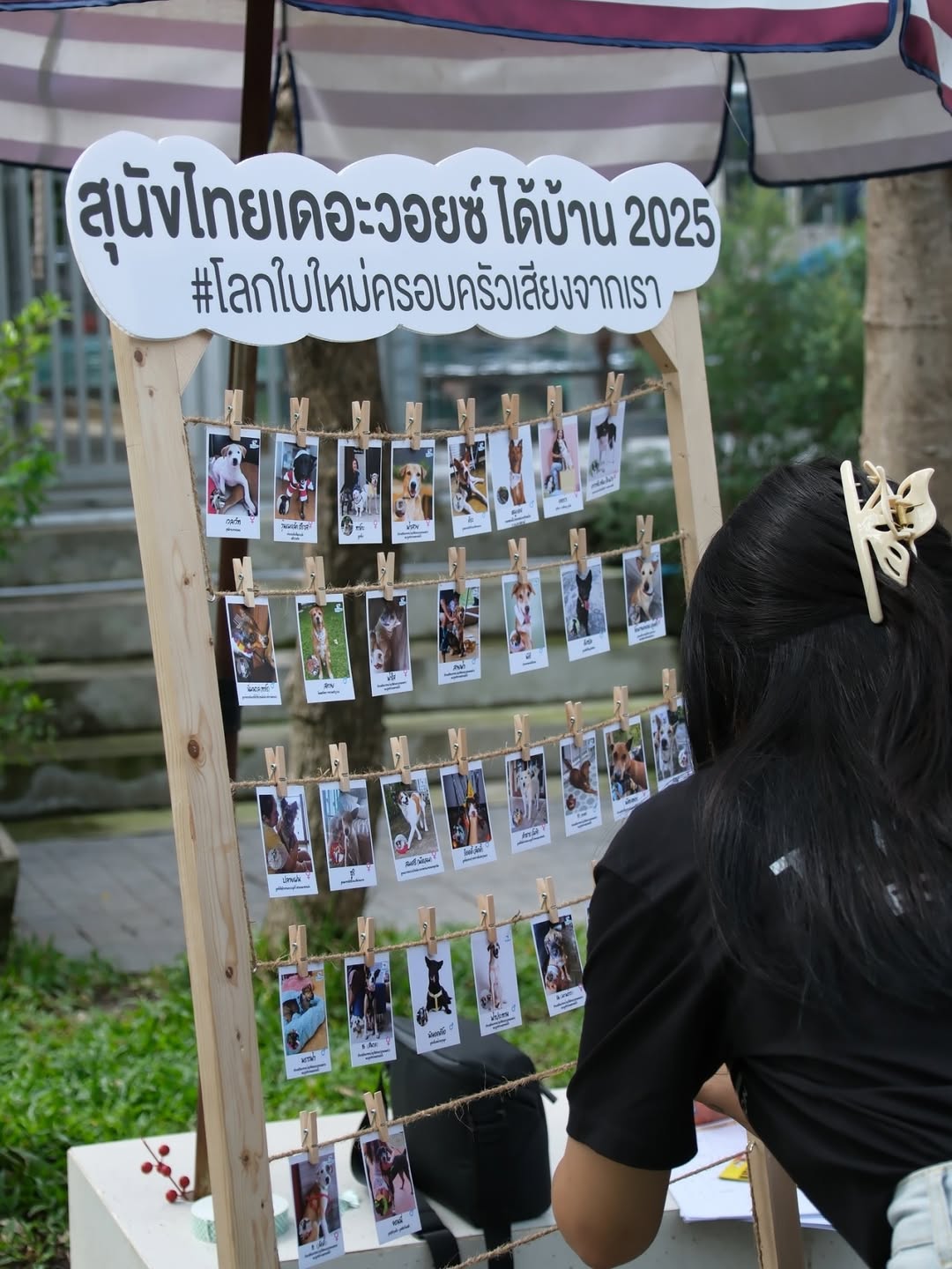 เก๋ - ชลลดา เมฆราตรี