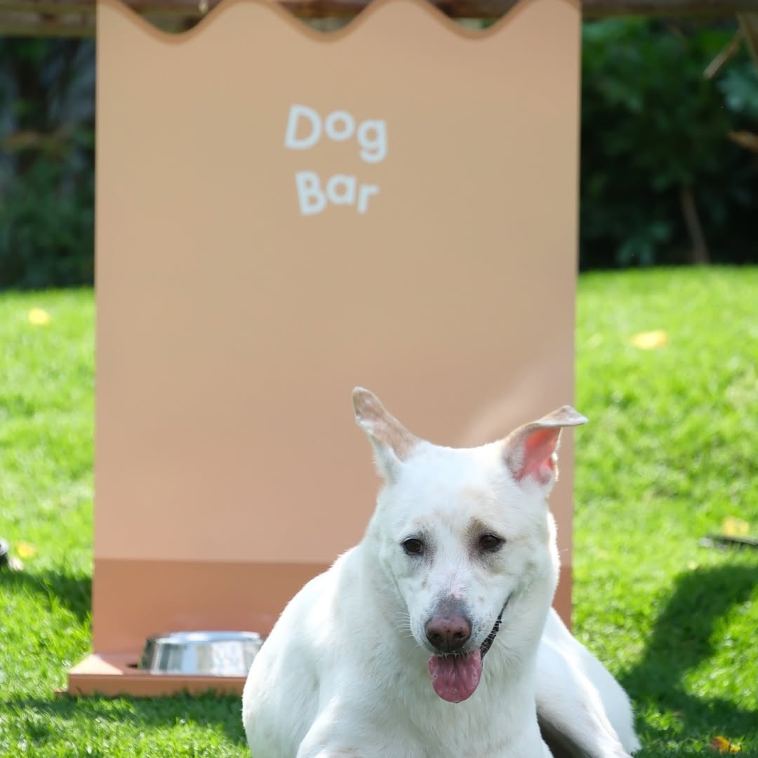 เก๋ - ชลลดา เมฆราตรี