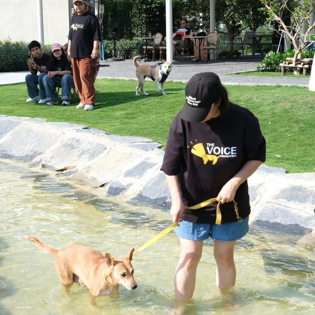 เก๋ - ชลลดา เมฆราตรี