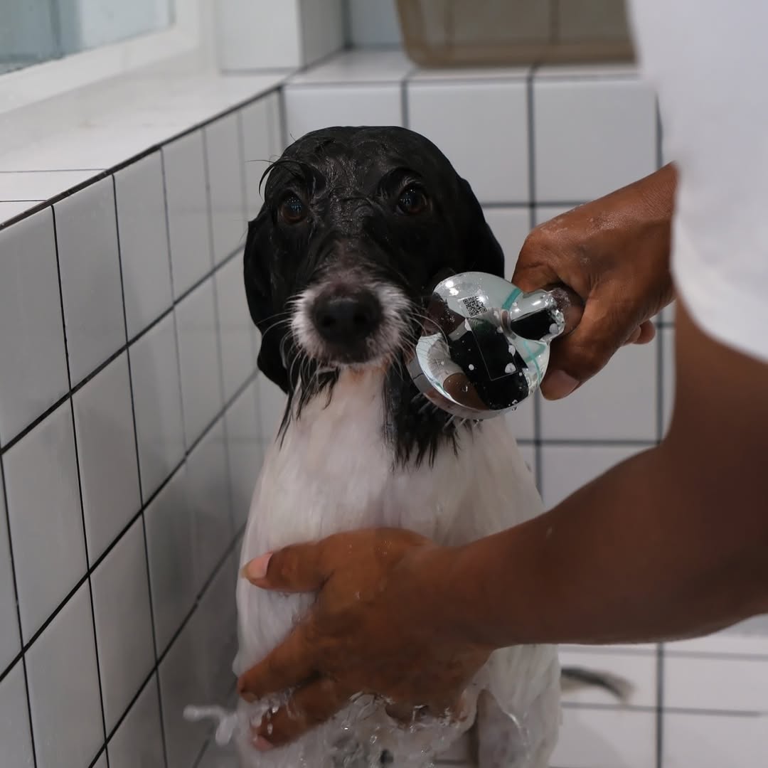 เก๋ - ชลลดา เมฆราตรี