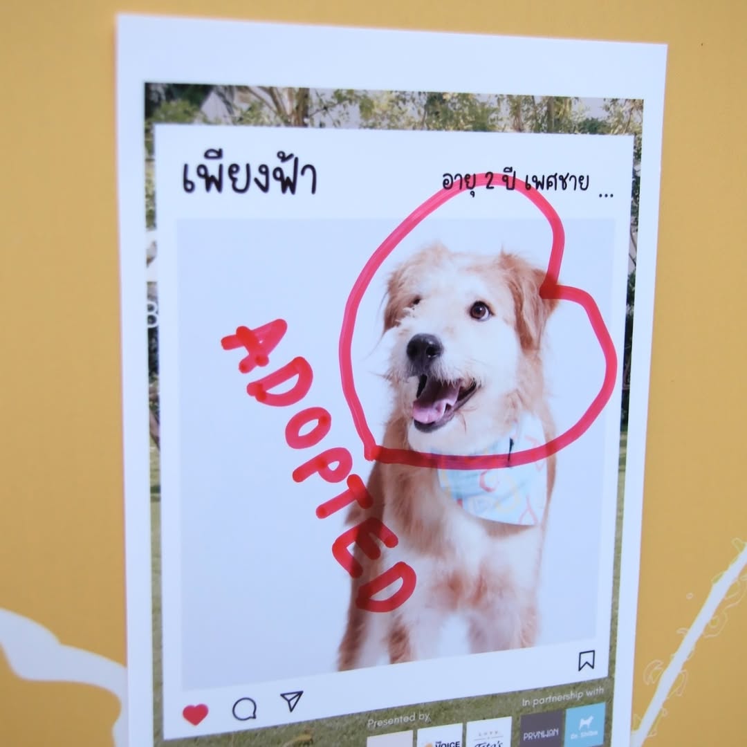 เก๋ - ชลลดา เมฆราตรี