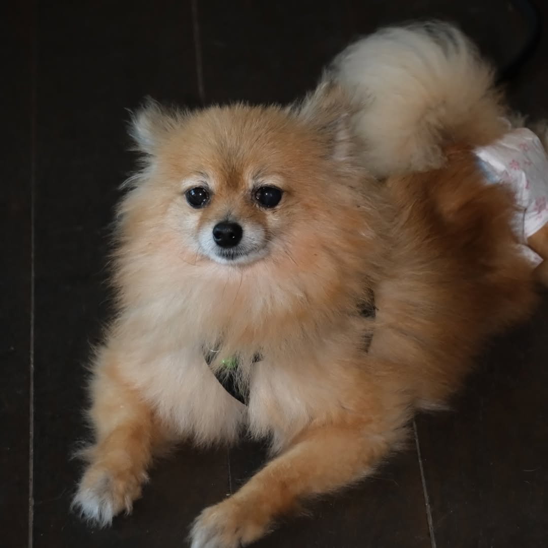 เก๋ - ชลลดา เมฆราตรี