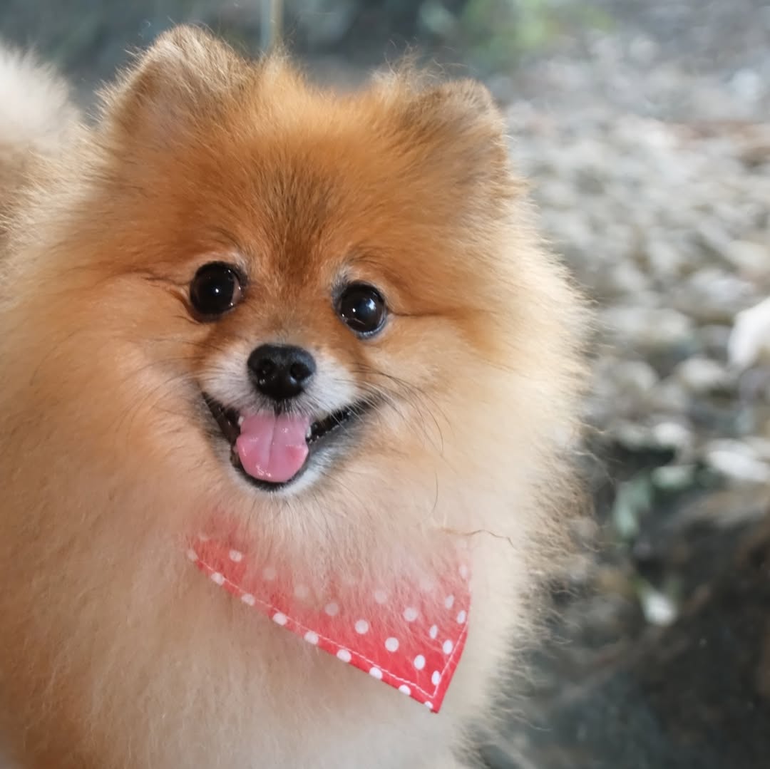 เก๋ - ชลลดา เมฆราตรี