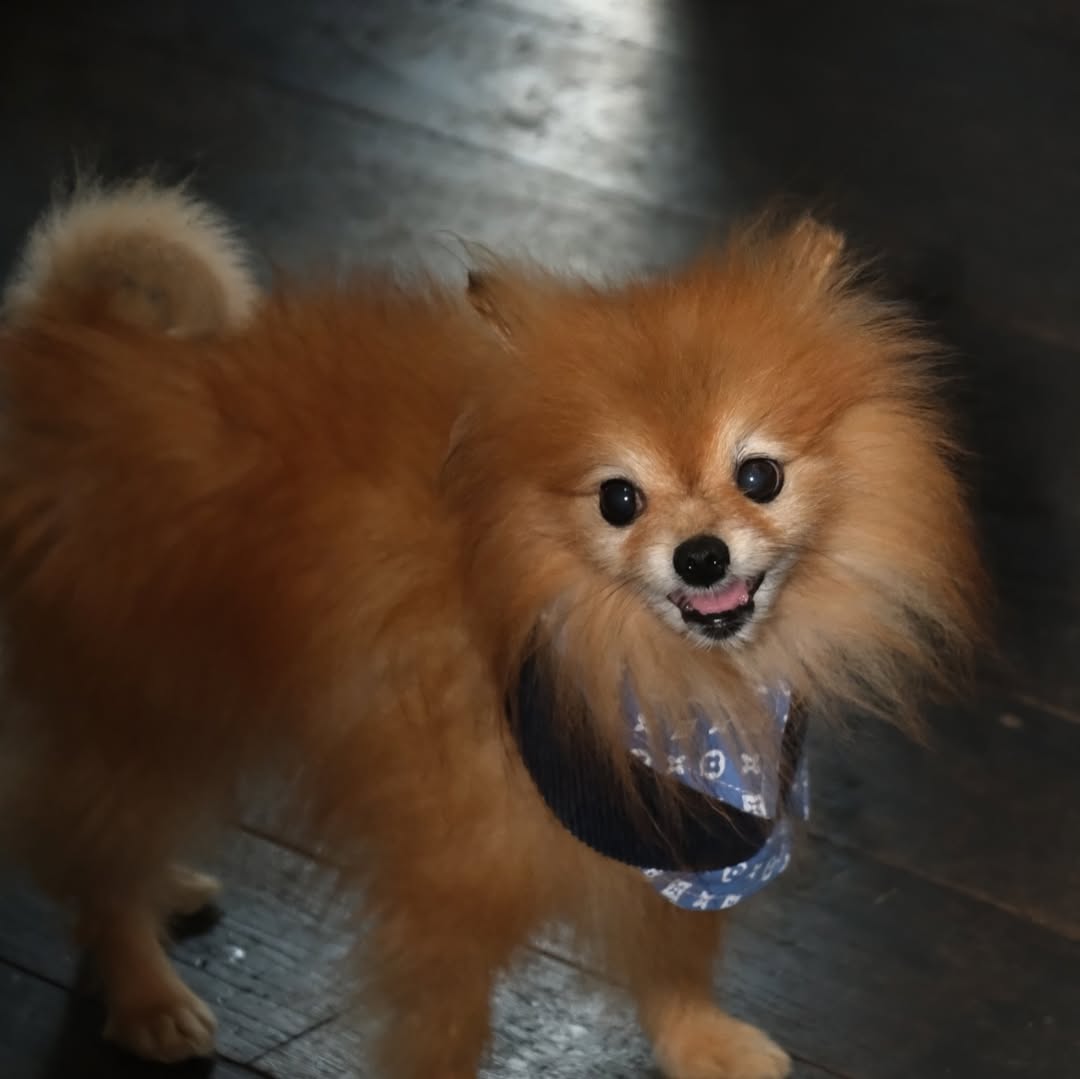 เก๋ - ชลลดา เมฆราตรี